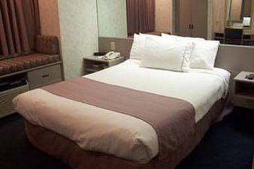 Microtel Inn Georgetown  | Georgetown | Kentucky | United States 6