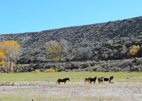 Hotel Rodeway Inn New Castle  | New Castle | Colorado | United States 3