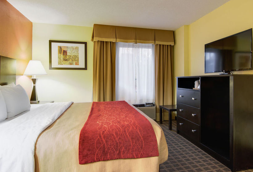 Hotel Comfort Inn & Suites Macon  | Macon | Georgia | United States 12