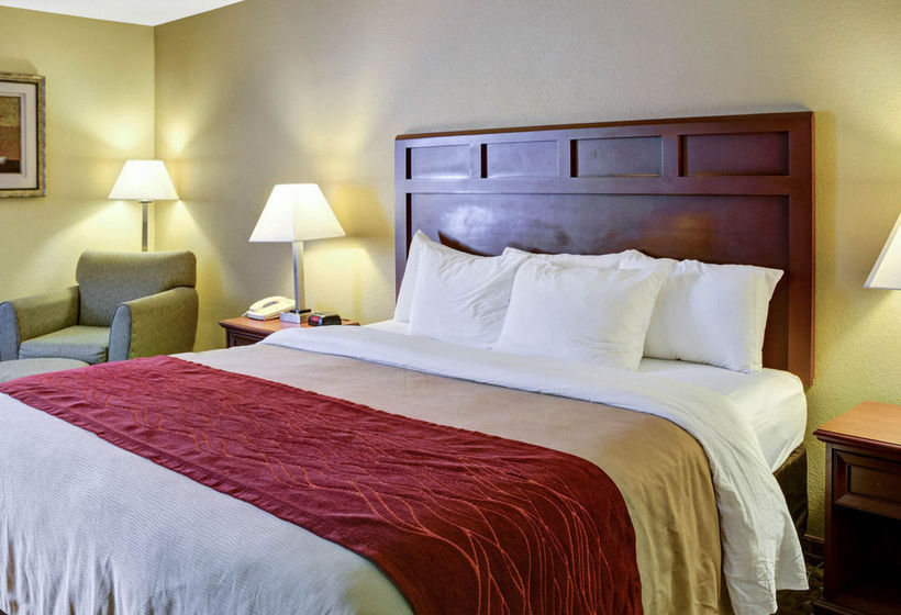 Motel Comfort Inn Little Rock  | Little Rock | Arkansas | United States 12