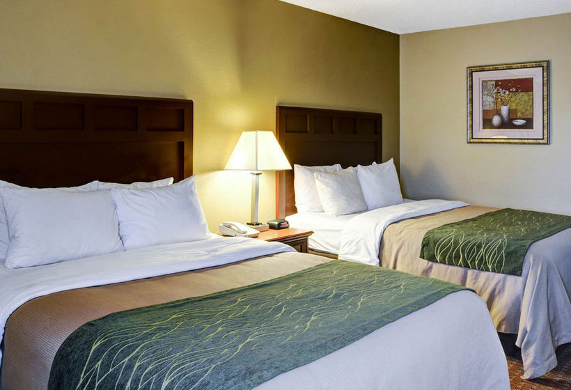 Motel Comfort Inn Little Rock  | Little Rock | Arkansas | United States 16