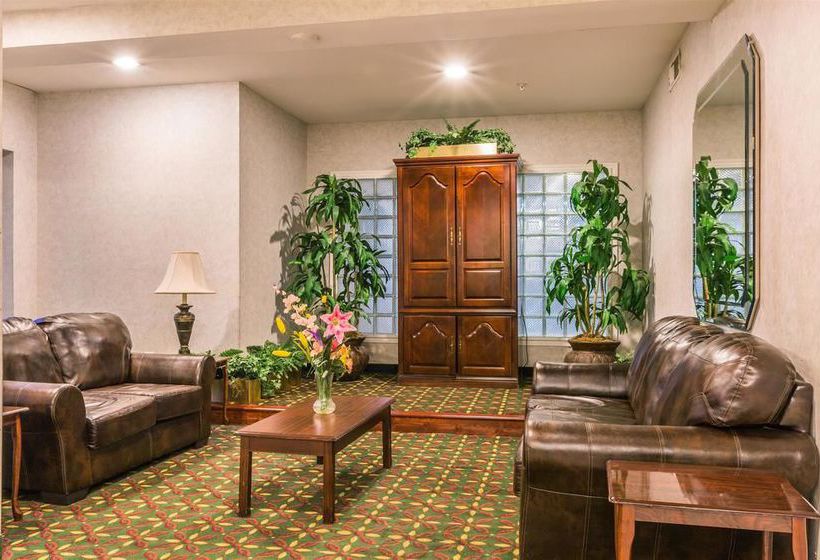 Hotel Super 8 Garland North Dallas Area  | Garland | Texas | United States 12