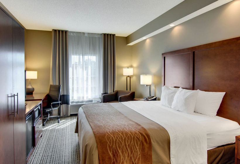Hotel Jameson Inn West Monroe  | West Monroe | Louisiana | United States 3