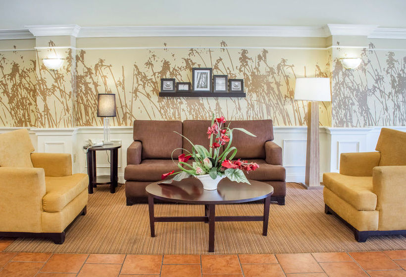 Hotel Sleep Inn ,inn & Suites  | Dublin | Virginia | United States 16