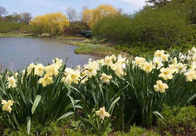 Hotel TownePlace Suites by Marriott Chicago Lombard