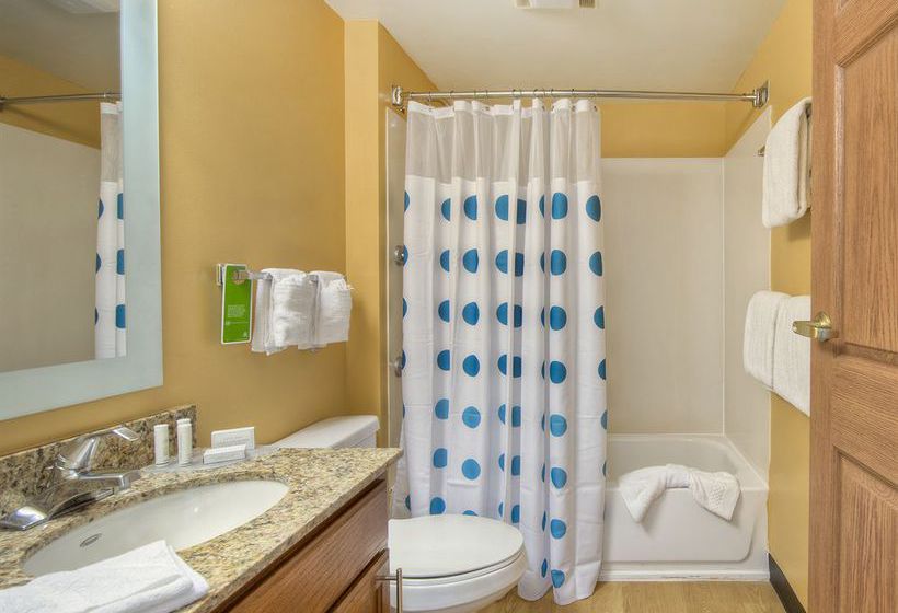 Hotel TownePlace Suites by Marriott Charlotte University Research Park