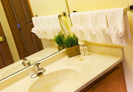 Hotel TownePlace Suites by Marriott Minneapolis West-St Louis Park 