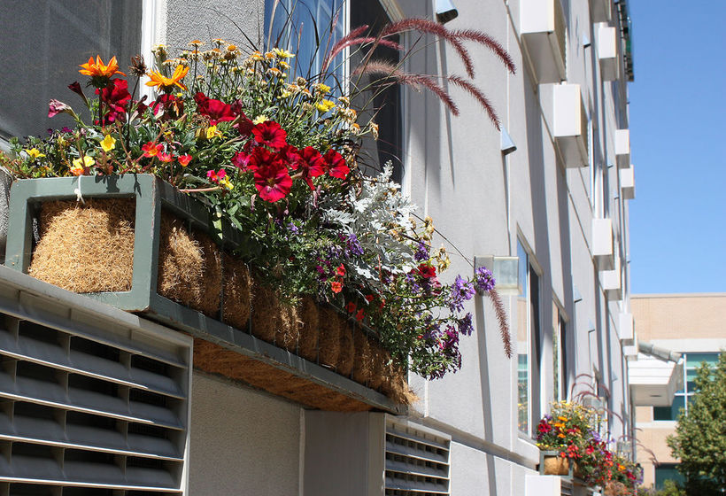 Hotel Hilltop Inn by Riverstone  | Billings | Montana | United States 4