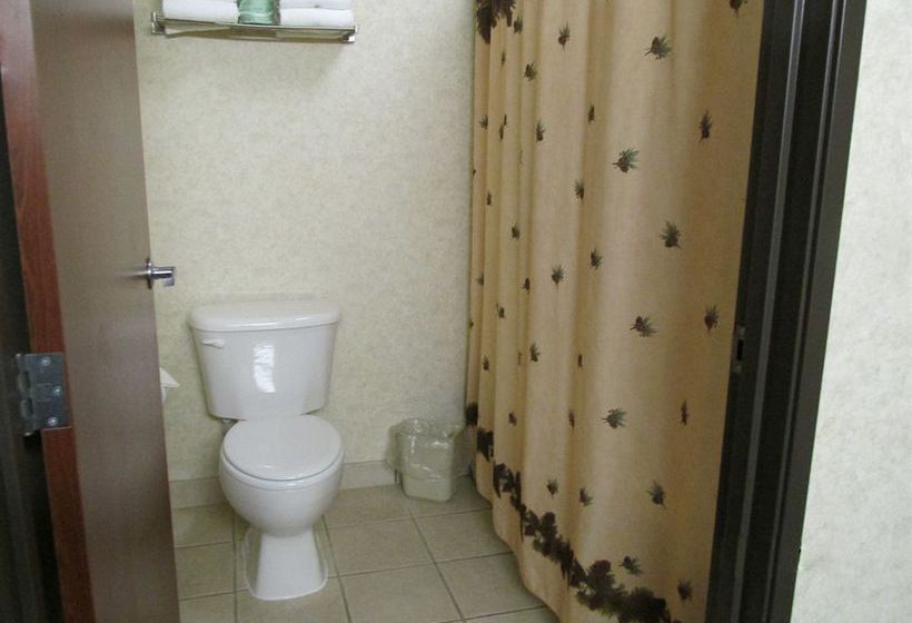 Hotel Kelly Inn & Suites - Mitchell  | Mitchell | South Dakota | United States 9