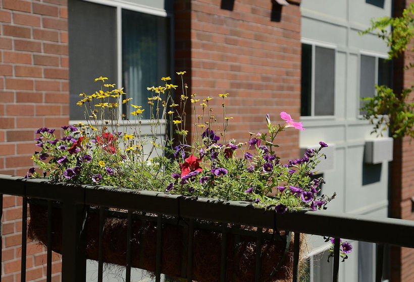 Hotel The Madison Spokane Inn  | Spokane | Washington | United States 6