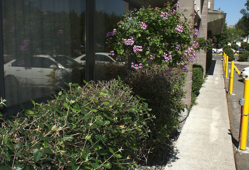 Hotel Riverstone Billings Inn  | Billings | Montana | United States 2