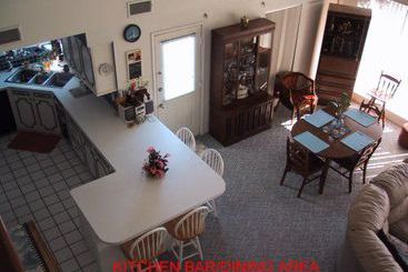 Hotel Tiki House  | Galveston | Texas | United States 3