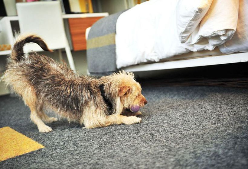 Hotel Jupiter  | Portland | Oregon | United States 2