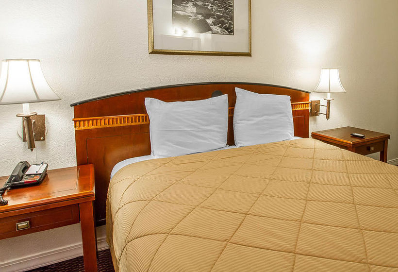 Hotel Rodeway Inn Downtown Flagstaff  | Flagstaff | Arizona | United States 15