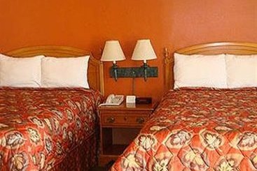 Starlite Motel  | Many | Louisiana | Estados Unidos 4