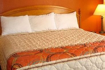 Starlite Motel  | Many | Louisiana | Estados Unidos 5