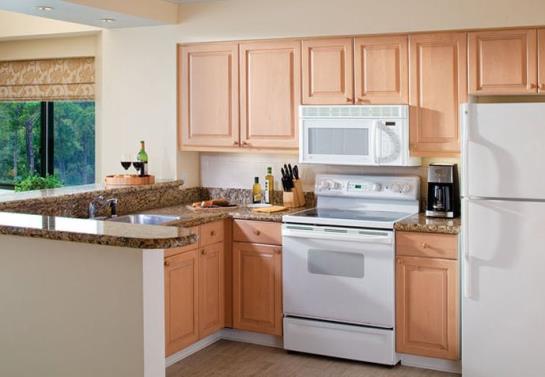 Hotel Marriott Barony Beach Club  | Hilton Head Island | South Carolina | United States 1