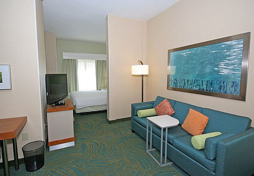 Hotel SpringHill Suites by Marriott Newnan  | Newnan | Georgia | Hotel negli Stati Uniti 19