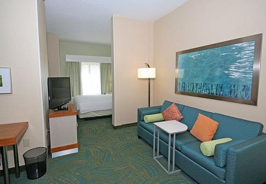 Hotel SpringHill Suites by Marriott Newnan  | Newnan | Georgia | Hotel negli Stati Uniti 4