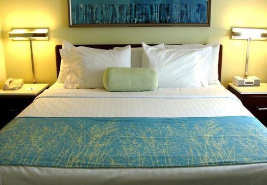 Hotel SpringHill Suites by Marriott Round Rock  | Round Rock | Texas | United States 3