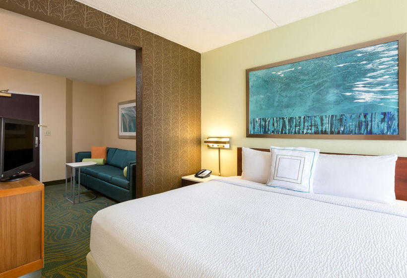 Hotel SpringHill Suites by Marriott Austin Airport  | Austin | Texas | United States 8