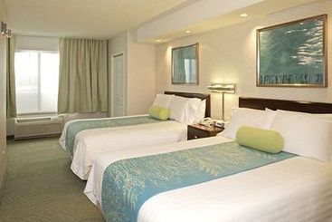 Hotel SpringHill Suites by Marriott Billings  | Billings | Montana | United States 11