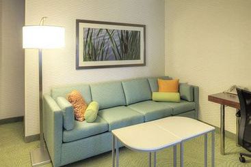 Hotel SpringHill Suites by Marriott Billings  | Billings | Montana | United States 17