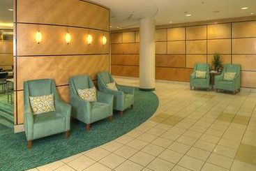 Hotel SpringHill Suites by Marriott Billings  | Billings | Montana | United States 18