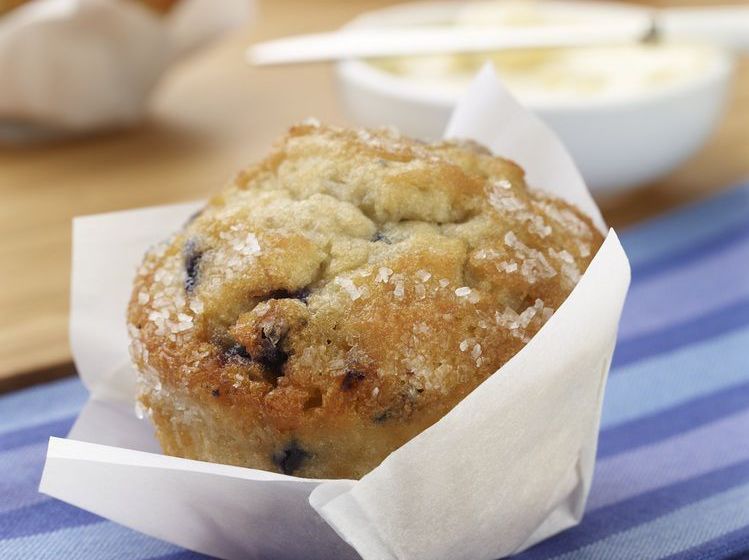 Hotel SpringHill Suites by Marriott Danbury  | Danbury | Connecticut | Estados Unidos 9