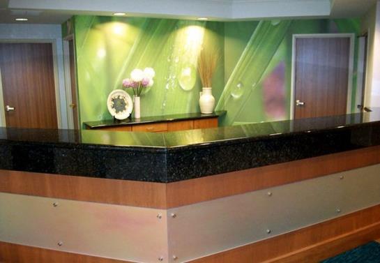 Hotel SpringHill Suites by Marriott Frankenmuth  | Frankenmuth | Michigan | United States 16