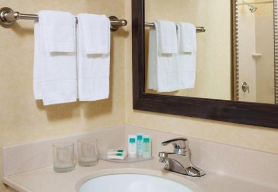 Hotel SpringHill Suites by Marriott Frankenmuth  | Frankenmuth | Michigan | United States 20