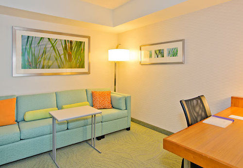 Hotel SpringHill Suites Pittsburgh North Shore  | Pittsburgh | Pennsylvania | United States 7