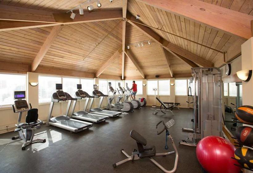 Hotel Hilton Garden Inn Dallas Market Center  | Dallas | Texas | United States 3