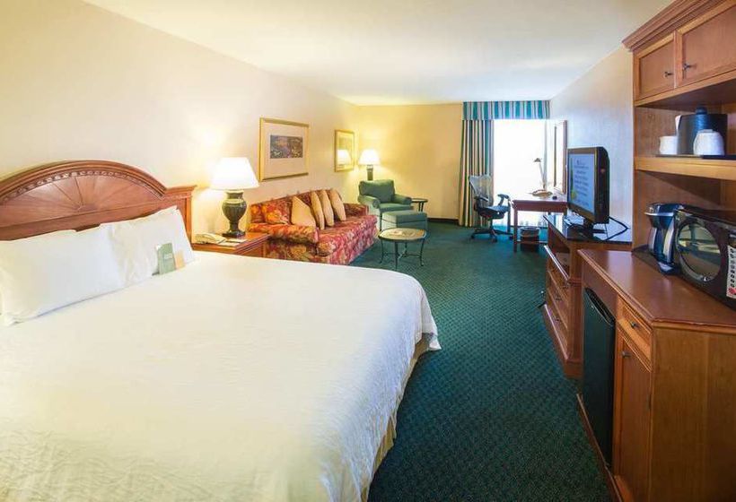 Hotel Hilton Garden Inn Dallas Market Center  | Dallas | Texas | United States 7