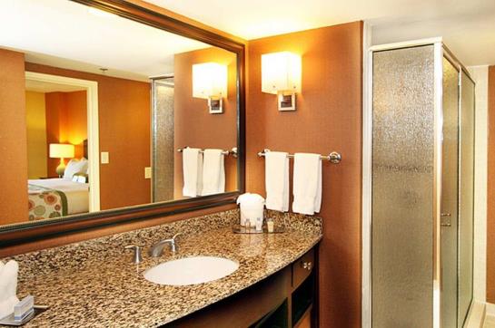Hotel Doubletree Guest Suites Atlanta-Galleria  | Atlanta | Geórgia | Estados Unidos 7
