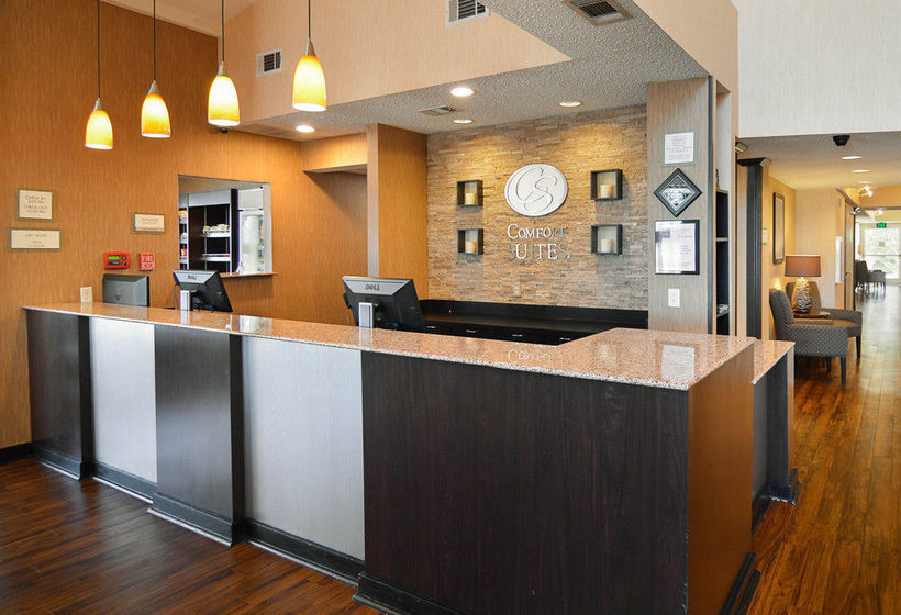 Hotel Comfort Suites Dfw Airport  | Irving | Texas | United States 13
