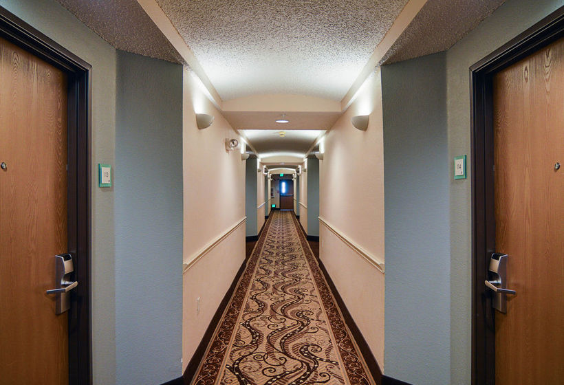 Hotel Comfort Suites Dfw Airport  | Irving | Texas | United States 14