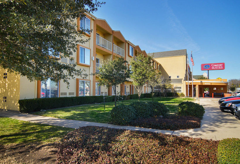 Hotel Comfort Suites Dfw Airport  | Irving | Texas | United States 9