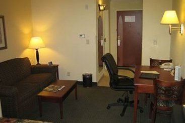 Holiday Inn Express Hotel & Suites Tuscon Mall  | Tucson | Arizona | United States 4