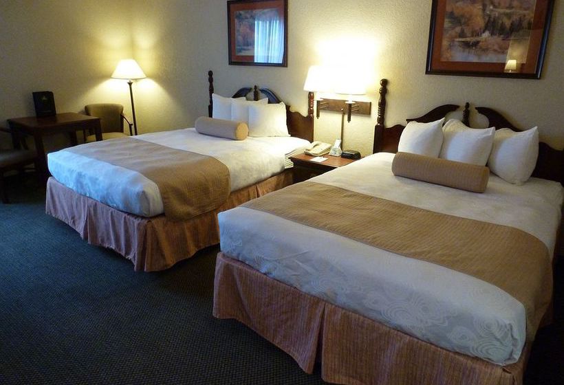 Hotel Best Western Plus Gateway Inn & Suites  | Evansville | Indiana | United States 13