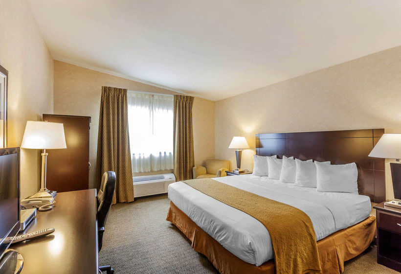Hotel Quality Inn Near Seattle Premium Outlets  | Arlington | Virginia | United States 14