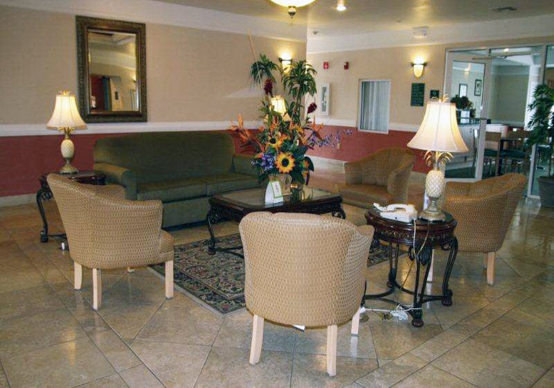 Hotel La Quinta Inn & Suites Mission  | Mission | Texas | United States 10