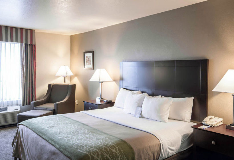 Hotel Comfort Inn Mansfield  | Mansfield | Texas | United States 19