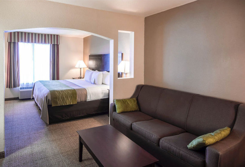 Hotel Comfort Inn Mansfield  | Mansfield | Texas | United States 5