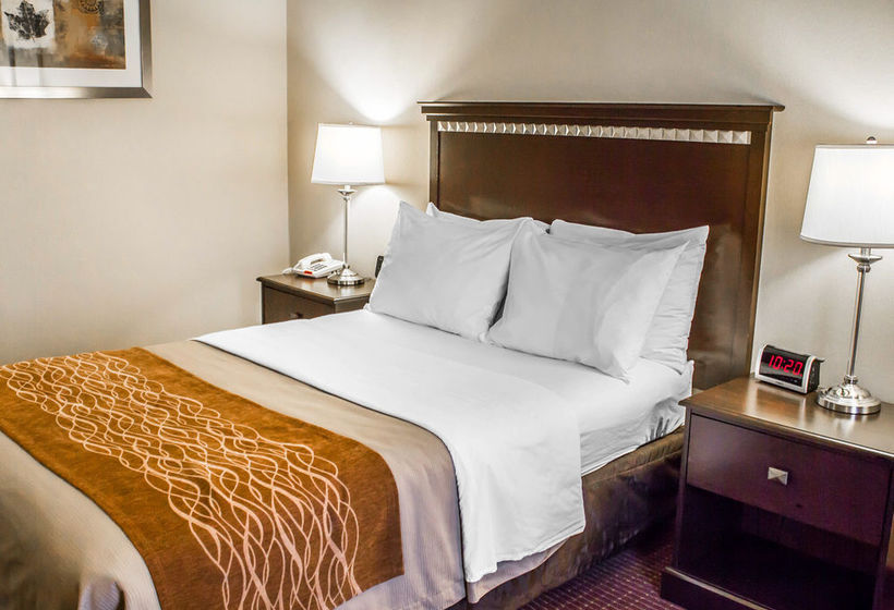 Hotel Comfort Inn  | Clearfield | Pennsylvania | Estados Unidos 15