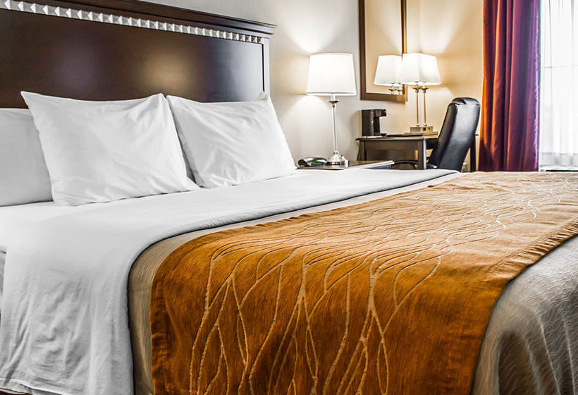 Hotel Comfort Inn  | Clearfield | Pennsylvania | Estados Unidos 18