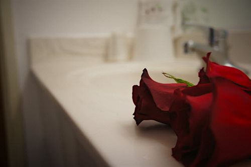 Hotel Budget Inn Suites Phoenix