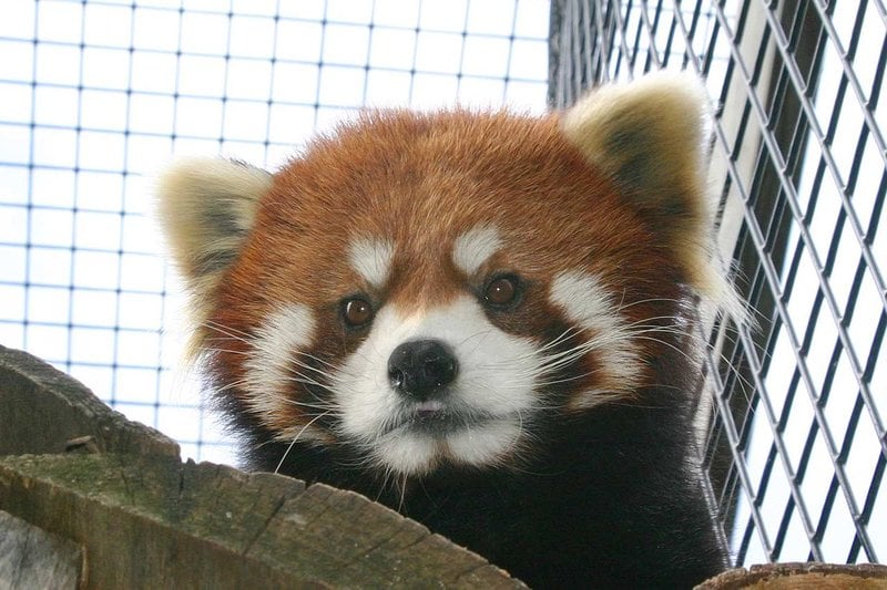 Hotel Hilton Garden Inn Green Bay  | Green Bay | Wisconsin | United States 17