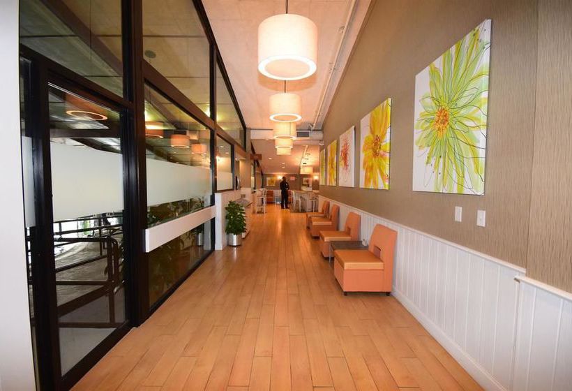 Best Western TLC Hotel  | Waltham | Massachusetts | United States 1