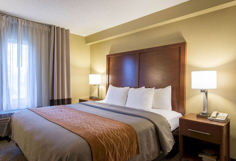 Hotel Comfort Suites Suwanee  | Suwanee | Georgia | United States 12
